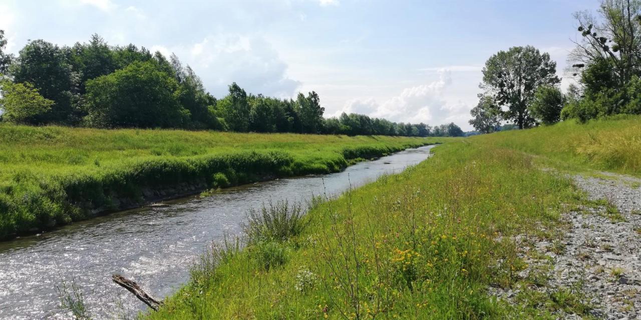 Ferienhaus Haemmerle'S Lustenau Kültér fotó